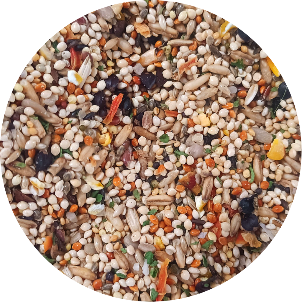 Uccello Parakeet Treat — New York Bird Supply Wholesale