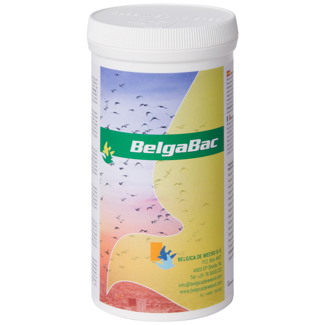 Belgica De Weerd BelgaBac 300 g – New York Bird Supply Wholesale