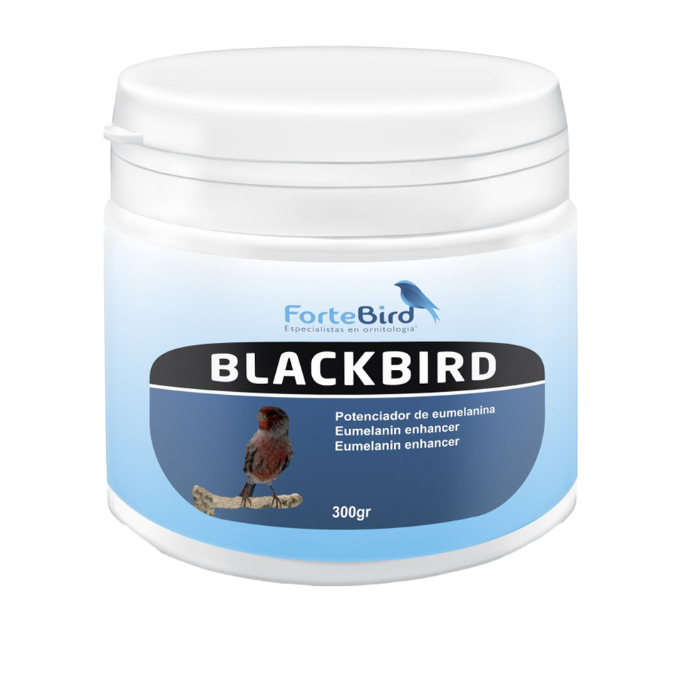 ForteBird BlackBird 300 g