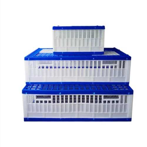 Plastic Pigeon Carrier- Blue and White