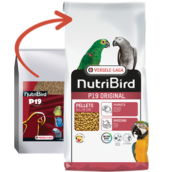 NutriBird P19 Original 10 kg