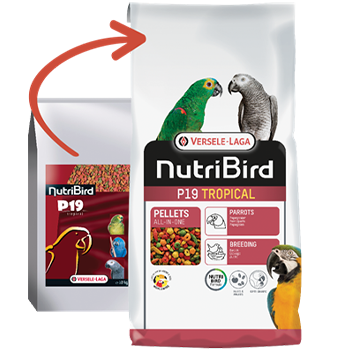 NutriBird P19 Tropical 10 kg