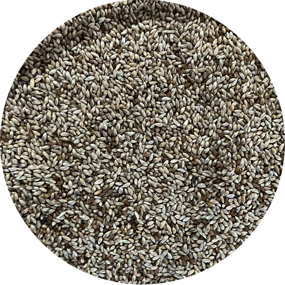 Timothy Alfalfa Seed