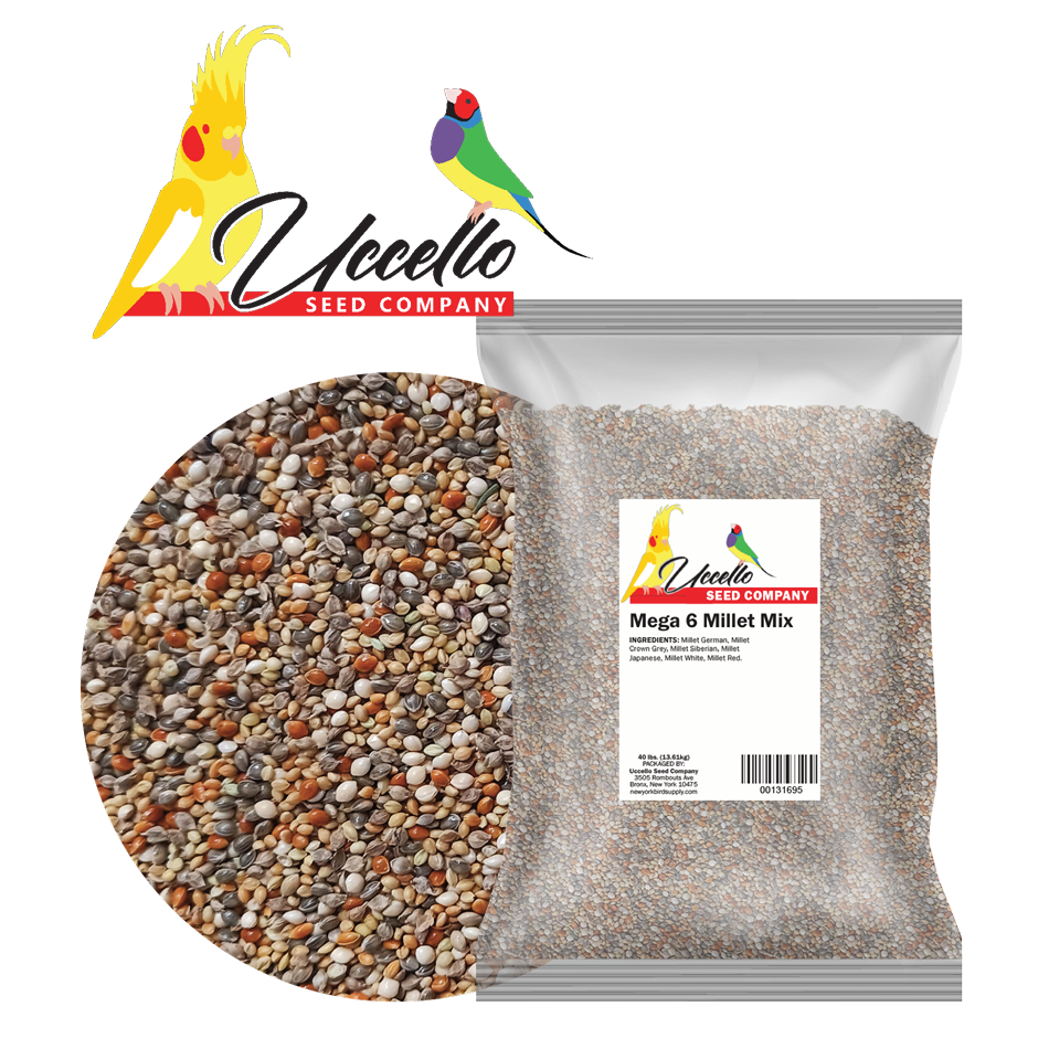 Bird supplies shop wholesale