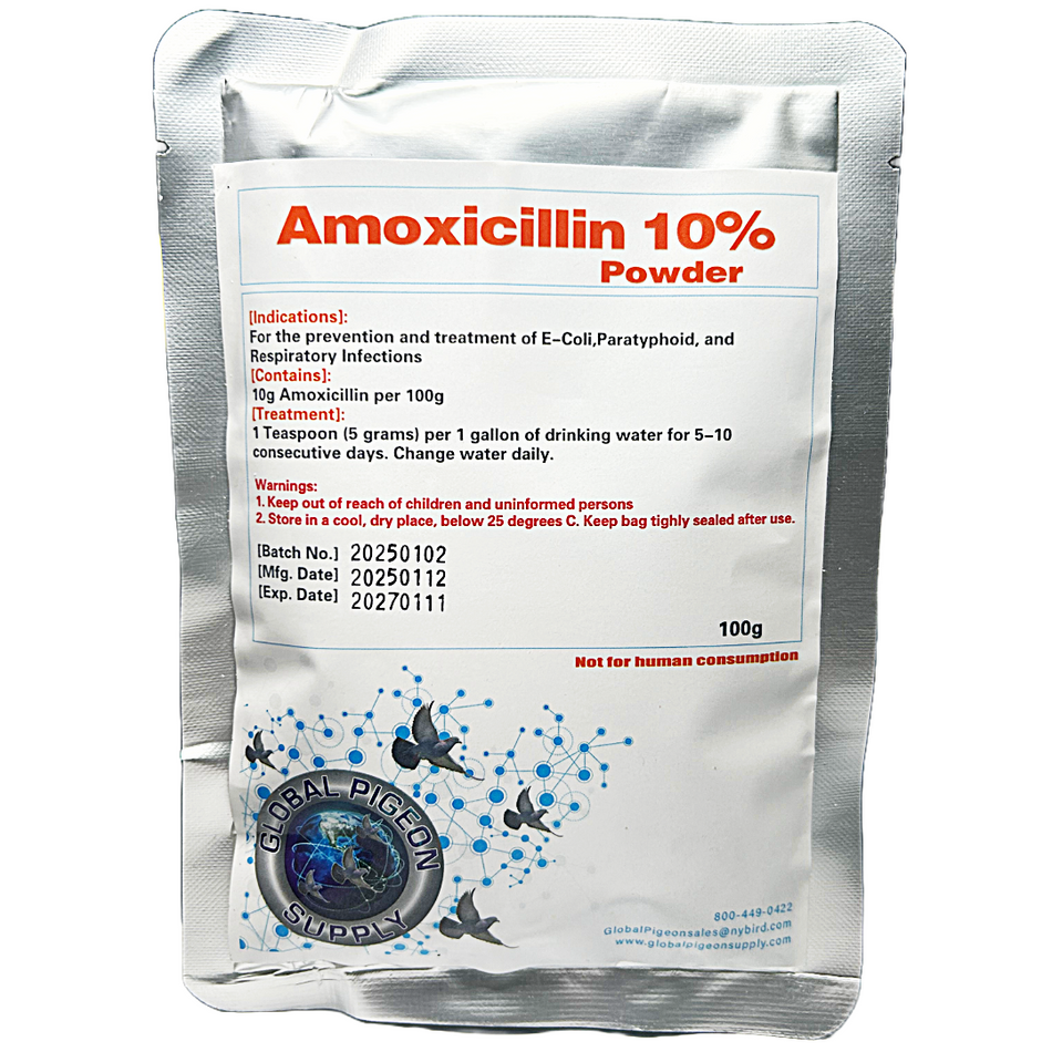 Global Silver Amoicillin 10% Powder 100g