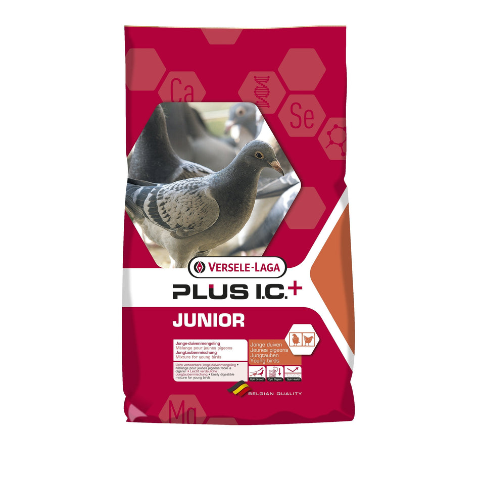 Versele-Laga Junior I.C. Plus 40 lb