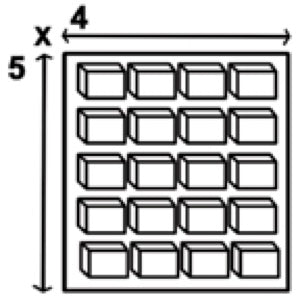 2GR Structure for drawer’s system 4 x 5 Art.352 - New York Bird Supply