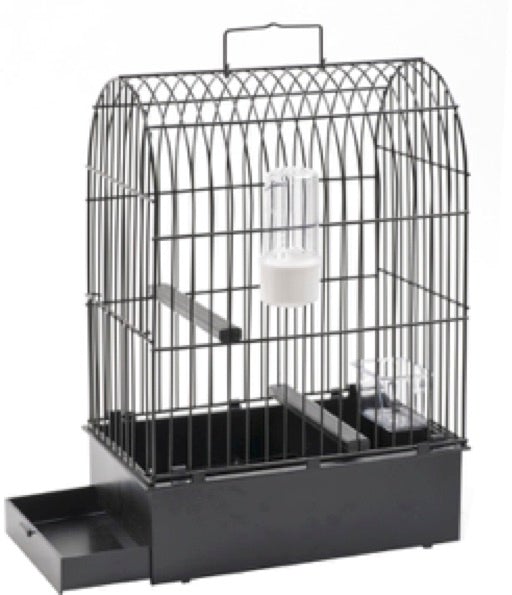 Bulk shop bird cages