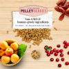 Lafeber Pellet-Berries for Parakeets 10oz