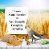 Lafeber Classic Nutri-Berries Cockatiel 4lb
