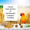 Lafeber Classic Nutri-Berries Conure 10oz