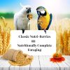 Lafeber Classic Nutri-Berries Macaw/Cockatoo 20lb