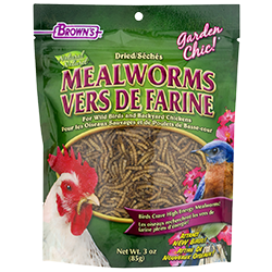 Brown's Natural Dried Mealworms 3 oz