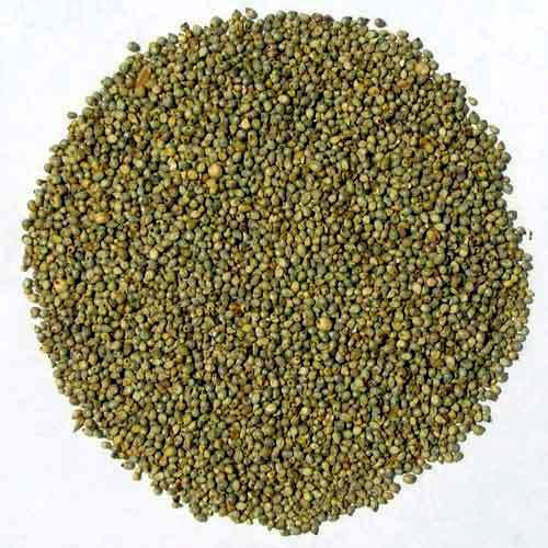 Millet Seed Grey