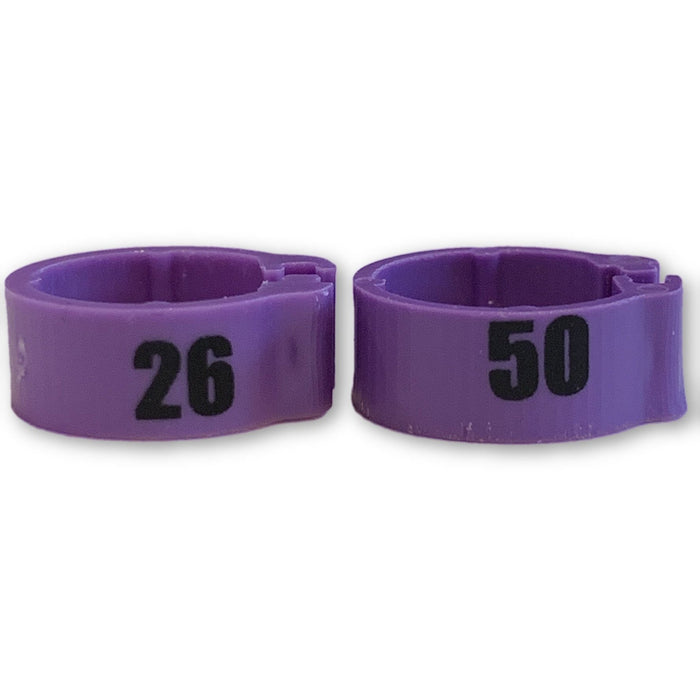 Numbered Bands Purple
