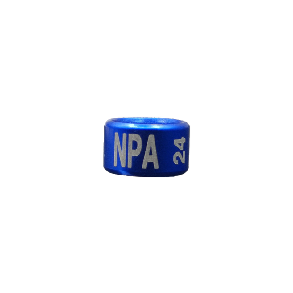 NPA 2024 Year Bands