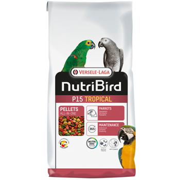 NutriBird Tropical Fruit Patee 1 kg — Global Pigeon Supplies Inc.