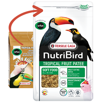 NutriBird Tropical Fruit Patee 1 kg