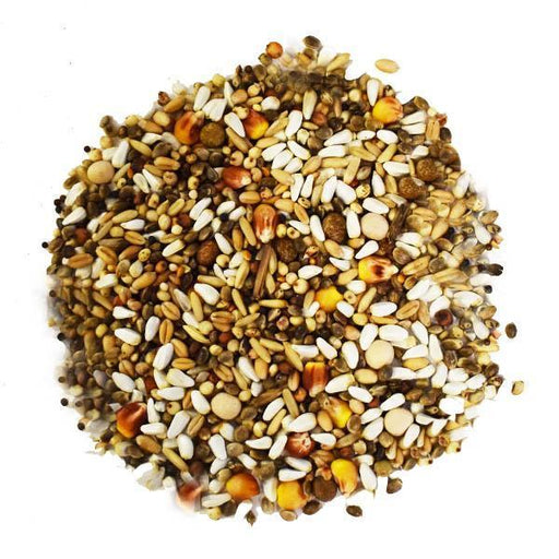 Baden Pigeon Feed — New York Bird Supply Wholesale