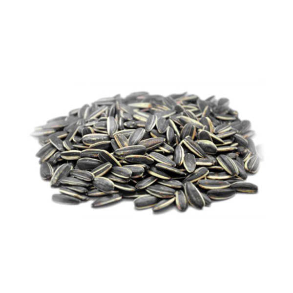 Sunflower Seed Striped 25 lb