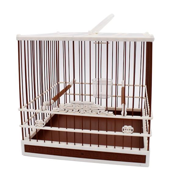 Cage Brown Small Fancy Finch