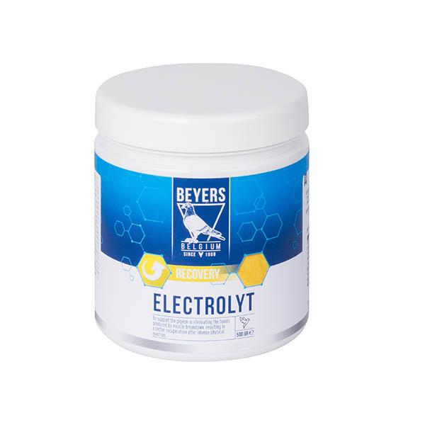 Beyers Electrolyt Plus 500g