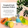 Lafeber Tropical Fruit Gourmet Pellets Parakeet 25lb