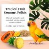 Lafeber Tropical Fruit Gourmet Pellets Conure 1.25lb