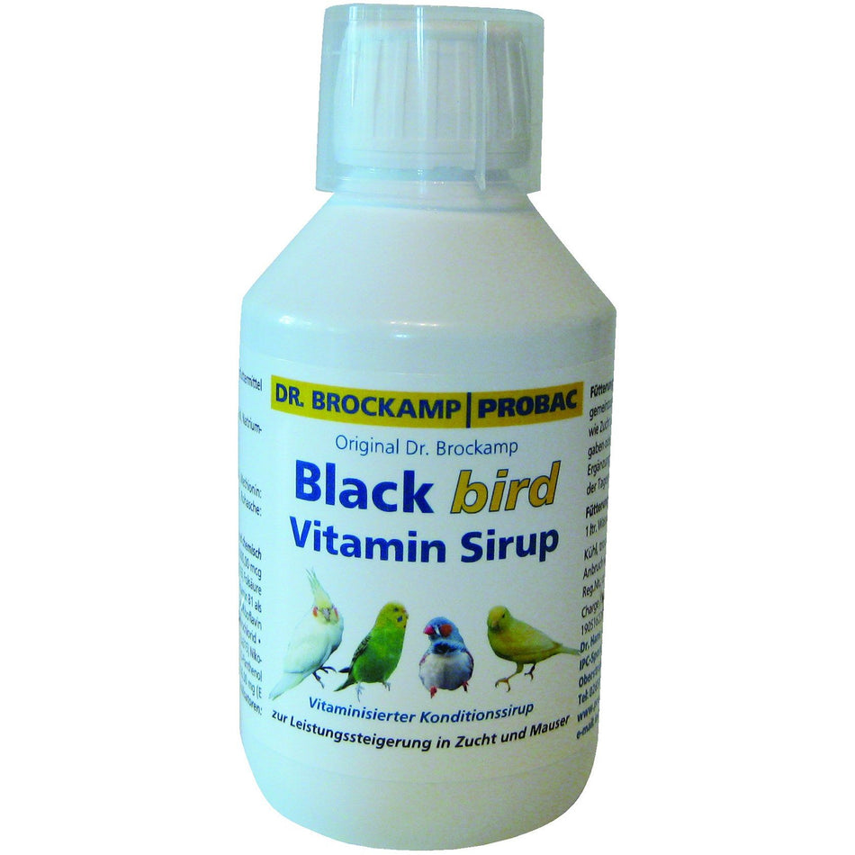 Dr. Brockamp Black Cell Speed Sirup 500 ml