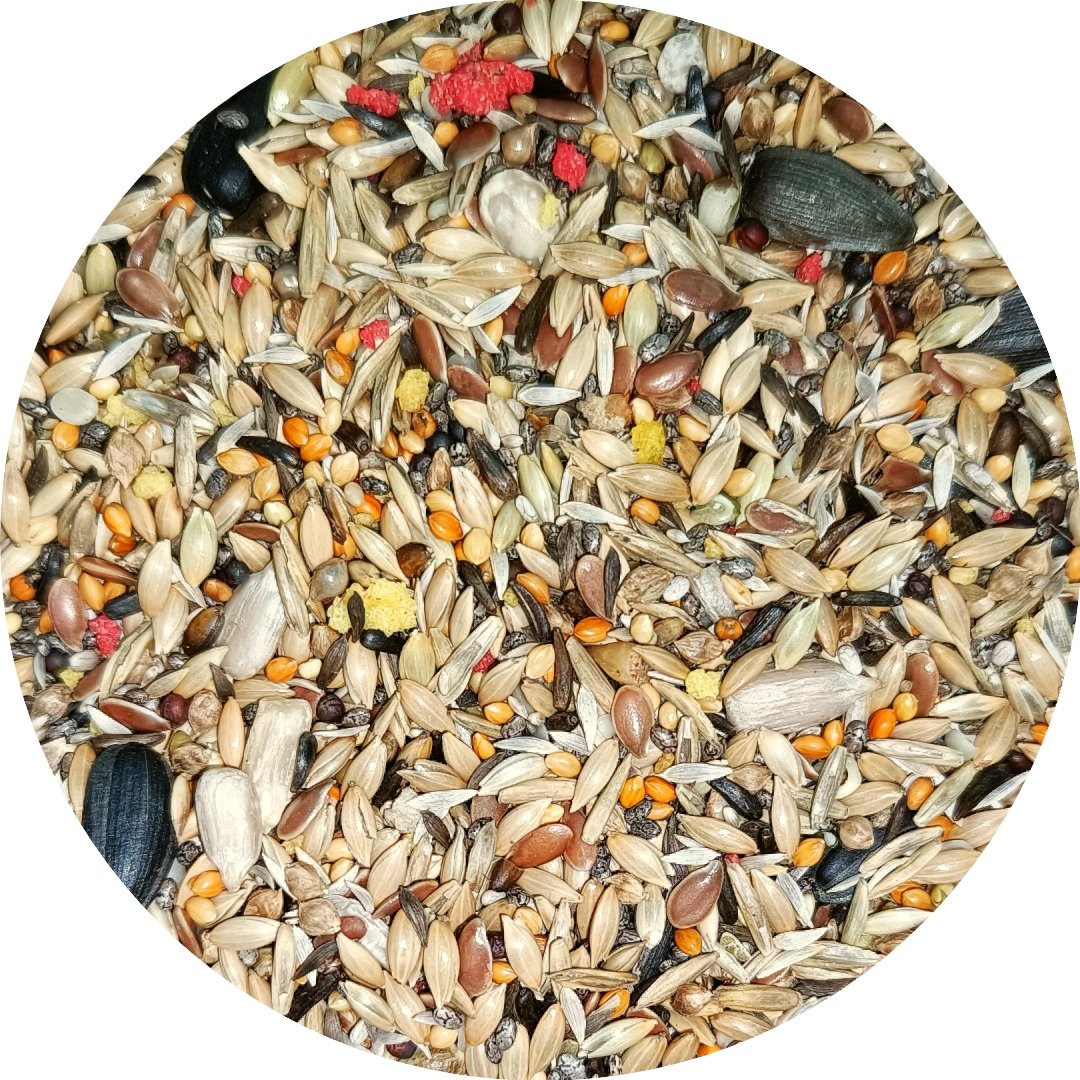 Euro Siskin Mix with Sunflower - New York Bird Supply