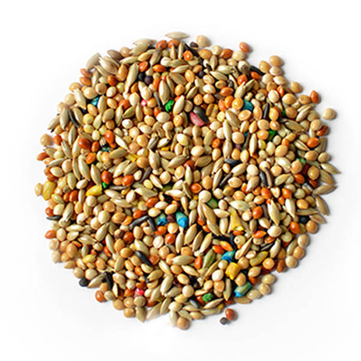 Baden Finch Super Breeder 50lb