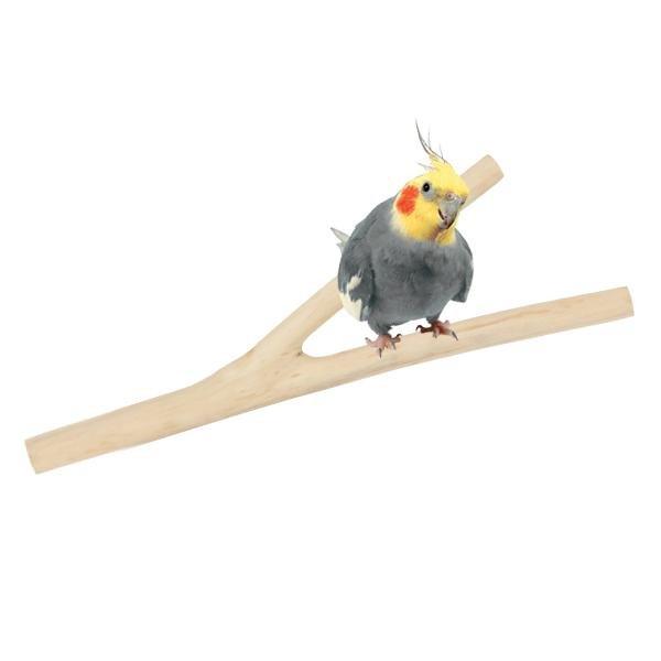 HARI Coffee Wood Branch Perch Small - New York Bird Supply
