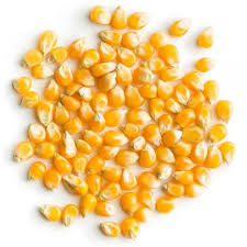 Whole Corn 50 lb