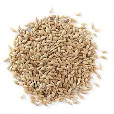 Canary Seed (Plain Canary) 50 lb