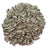 California Grey Sunflower 25 lb
