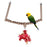 JS57 Double Perch With Toy Hook Medium - New York Bird Supply