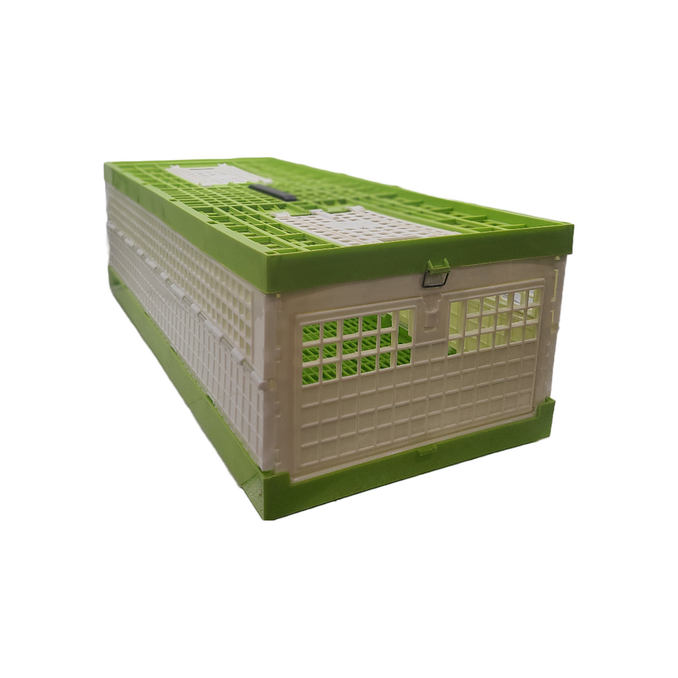 Pigeon Carrier Plastic Lime Green