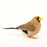 Finch Masked Grass Female