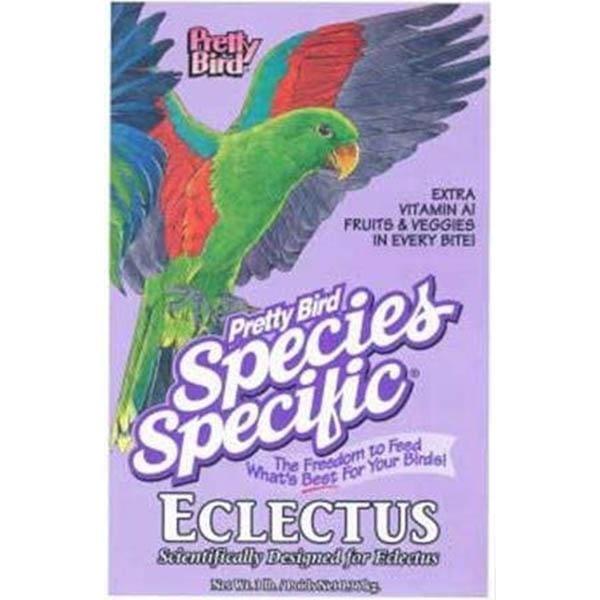 Pretty Bird Eclectus - New York Bird Supply